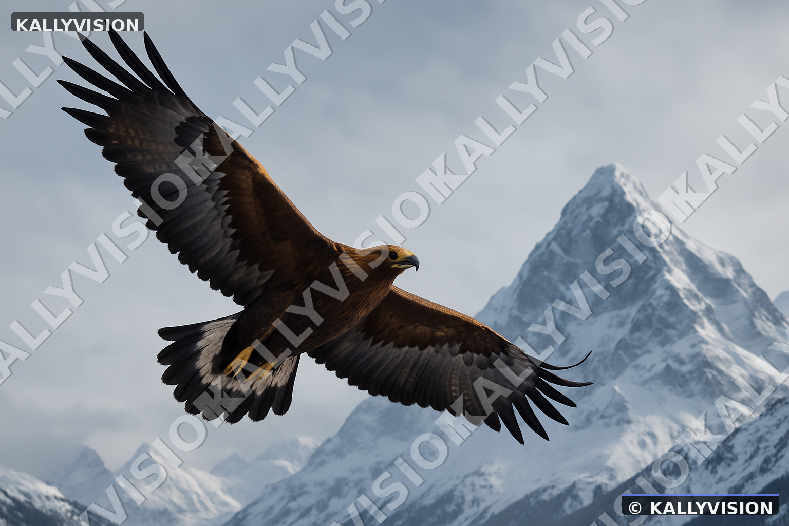 Aigle 02