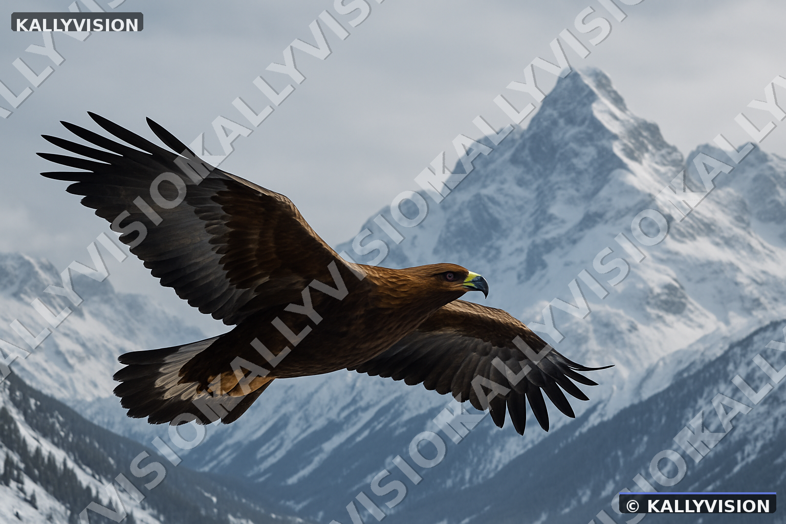 Aigle 03