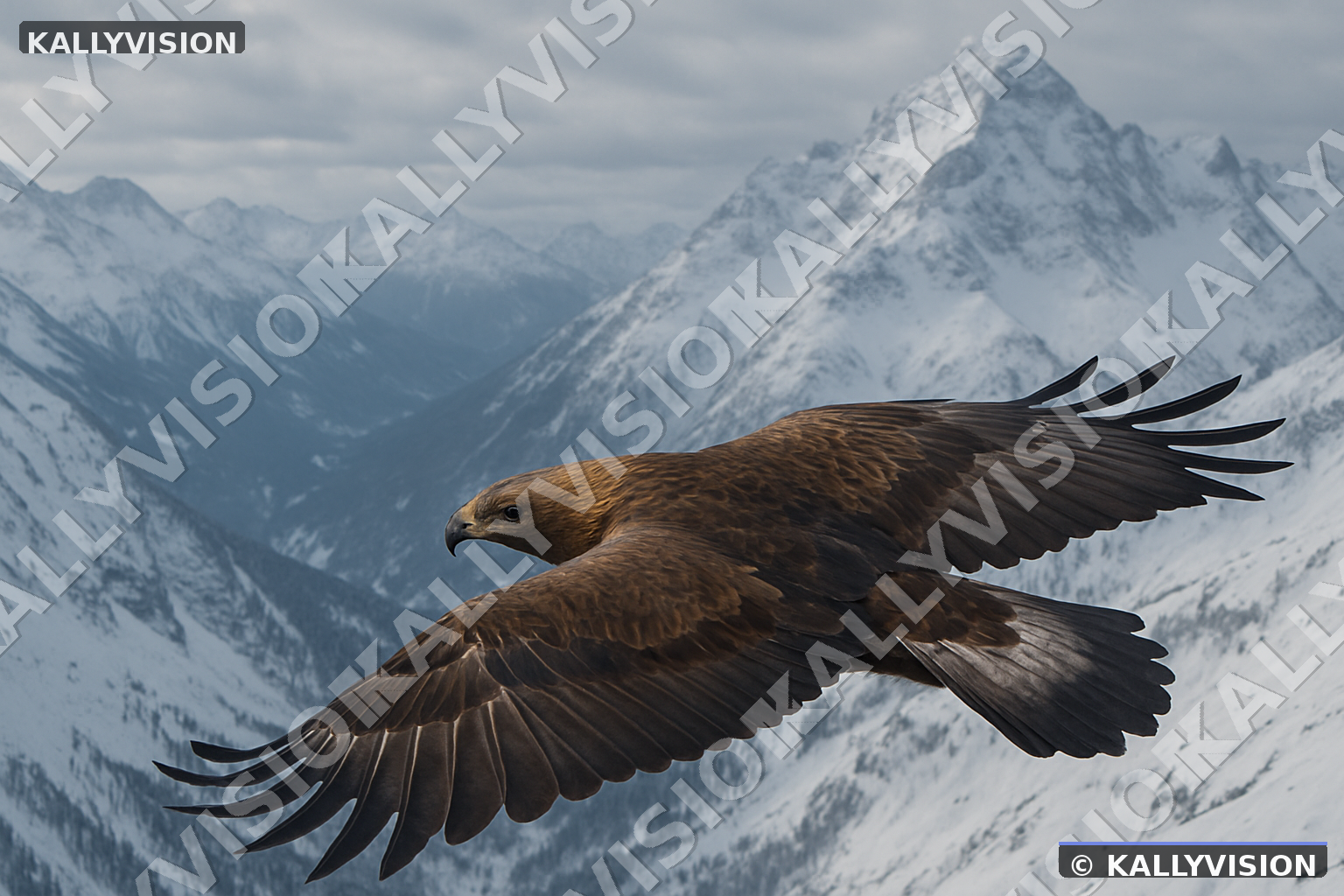 Aigle 04